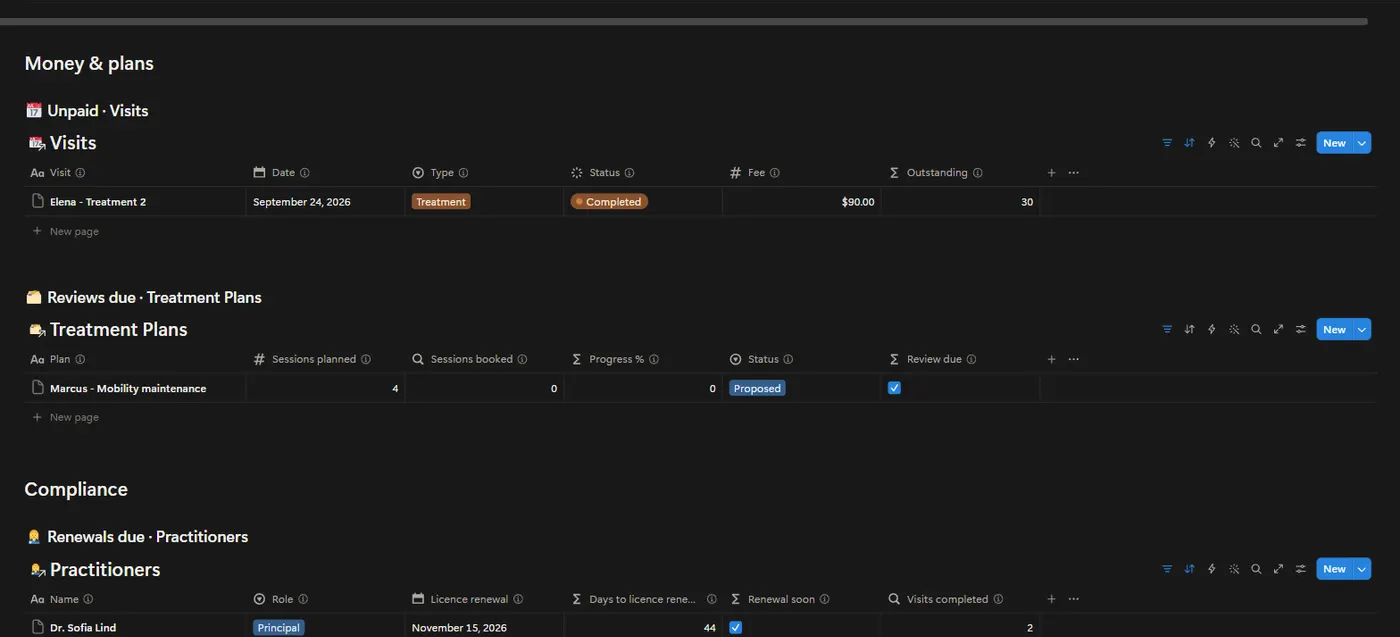 The Clinic Practice OS dashboard in Notion with example data